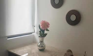 SE RENTA CASA AMUEBLADA EN SAN IDISDRO JURIQUILLA QUERETARO