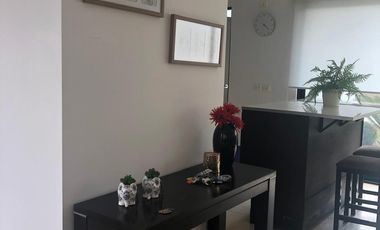 SE RENTA CASA AMUEBLADA EN SAN IDISDRO JURIQUILLA QUERETARO