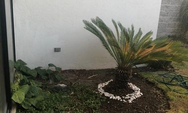 SE RENTA CASA AMUEBLADA EN SAN IDISDRO JURIQUILLA QUERETARO