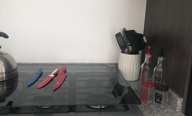 SE RENTA CASA AMUEBLADA EN SAN IDISDRO JURIQUILLA QUERETARO