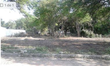 terreno en venta en ticuman morelos