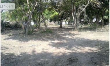 terreno en venta en ticuman morelos