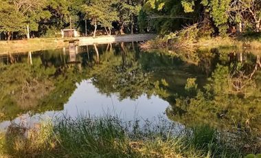 terreno en venta en ticuman morelos