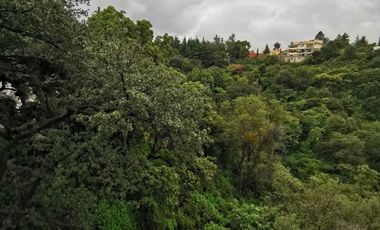 terreno en venta en condado de sayavedra