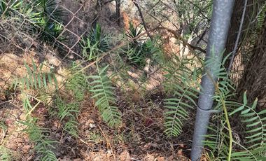 terreno en venta en condado de sayavedra