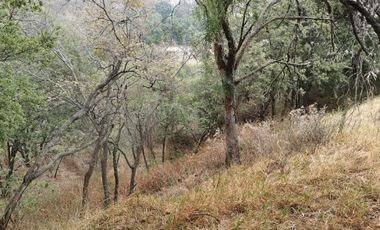 terreno en venta en condado de sayavedra