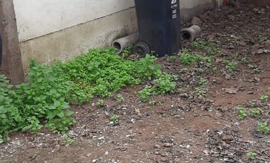 Excelente Terreno con Casa en Cerro Navia