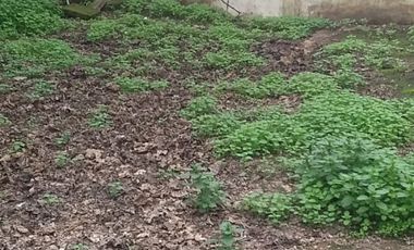 Excelente Terreno con Casa en Cerro Navia