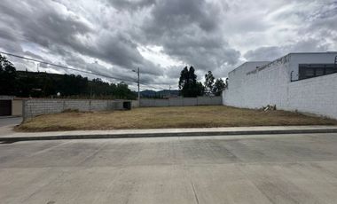 ESPECTACULAR TERRENO EN CHARASOL