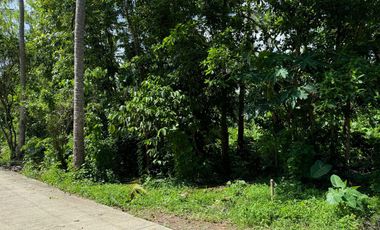 LOT FOR SALE
