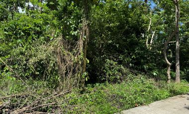 LOT FOR SALE