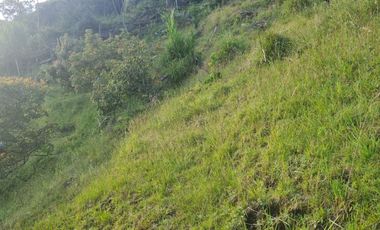 Lote en venta Guarne