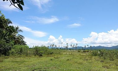 5,514 m2 / 1.56 Acres | Residential Asset Estate within Economic Zone