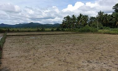 5,514 m2 / 1.56 Acres | Residential Asset Estate within Economic Zone