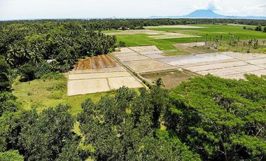 5,514 m2 / 1.56 Acres | Residential Asset Estate within Economic Zone