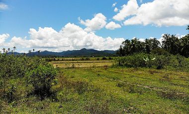 5,514 m2 / 1.56 Acres | Residential Asset Estate within Economic Zone