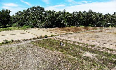 5,514 m2 / 1.56 Acres | Residential Asset Estate within Economic Zone