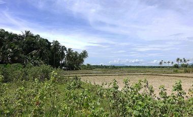 5,514 m2 / 1.56 Acres | Residential Asset Estate within Economic Zone