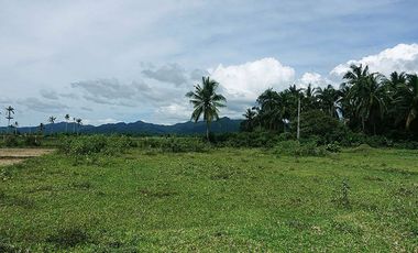 5,514 m2 / 1.56 Acres | Residential Asset Estate within Economic Zone