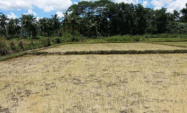 5,514 m2 / 1.56 Acres | Residential Asset Estate within Economic Zone