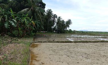 5,517 m2 / 1.56 Acres | Asset Estate within Economic Zone