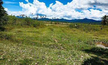 5,517 m2 / 1.56 Acres | Asset Estate within Economic Zone