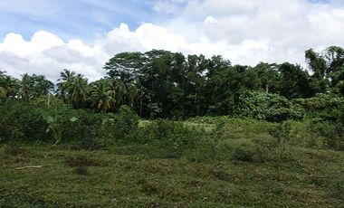 5,517 m2 / 1.56 Acres | Asset Estate within Economic Zone