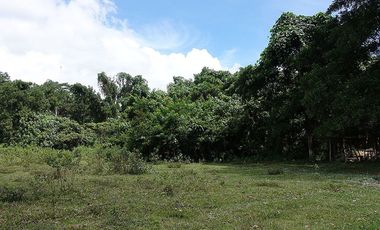 5,517 m2 / 1.56 Acres | Asset Estate within Economic Zone