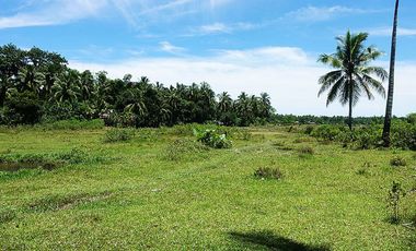 5,517 m2 / 1.56 Acres | Asset Estate within Economic Zone