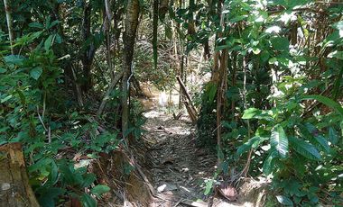 5,517 m2 / 1.56 Acres | Asset Estate within Economic Zone