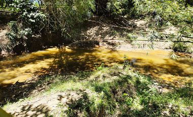 5,517 m2 / 1.56 Acres | Asset Estate within Economic Zone