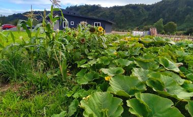 Casa en Parcela Chamiza