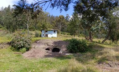 VENDO 5 HECTAREAS EN TUMBACO CON AGUA POTABLE , LUZ Y VIA ADOQUINADA