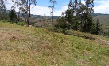 VENDO 5 HECTAREAS EN TUMBACO CON AGUA POTABLE , LUZ Y VIA ADOQUINADA
