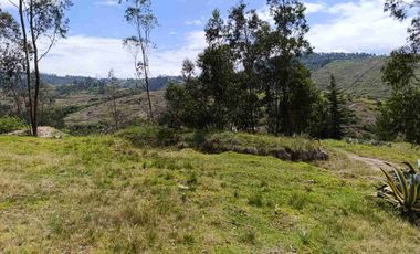 VENDO 5 HECTAREAS EN TUMBACO CON AGUA POTABLE , LUZ Y VIA ADOQUINADA