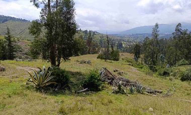 VENDO 5 HECTAREAS EN TUMBACO CON AGUA POTABLE , LUZ Y VIA ADOQUINADA