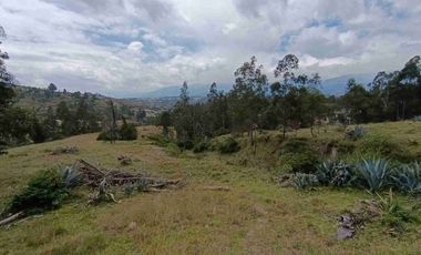 VENDO 5 HECTAREAS EN TUMBACO CON AGUA POTABLE , LUZ Y VIA ADOQUINADA