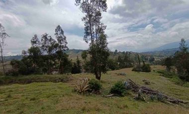 VENDO 5 HECTAREAS EN TUMBACO CON AGUA POTABLE , LUZ Y VIA ADOQUINADA