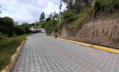 VENDO 5 HECTAREAS EN TUMBACO CON AGUA POTABLE , LUZ Y VIA ADOQUINADA