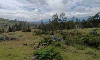 VENDO 5 HECTAREAS EN TUMBACO CON AGUA POTABLE , LUZ Y VIA ADOQUINADA