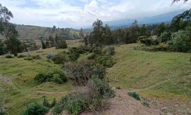 VENDO 5 HECTAREAS EN TUMBACO CON AGUA POTABLE , LUZ Y VIA ADOQUINADA