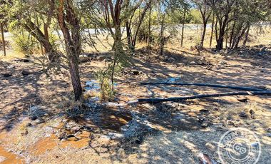 Gran Terreno y Parcela en Venta Colliguay Quilpue