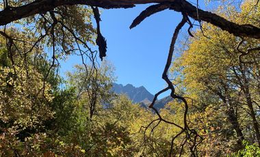 Se vende parcela a metros de la Reserva Altos de Lircay