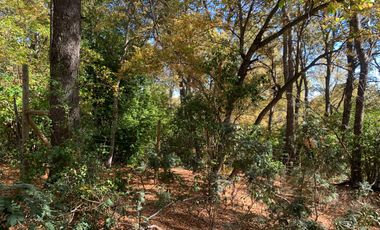 Se vende parcela a metros de la Reserva Altos de Lircay