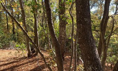 Se vende parcela a metros de la Reserva Altos de Lircay