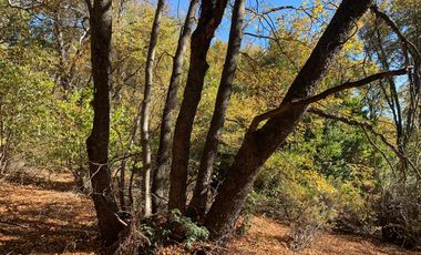 Se vende parcela a metros de la Reserva Altos de Lircay