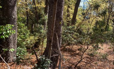 Se vende parcela a metros de la Reserva Altos de Lircay