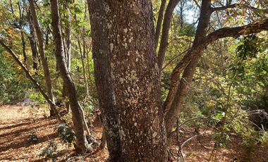 Se vende parcela a metros de la Reserva Altos de Lircay