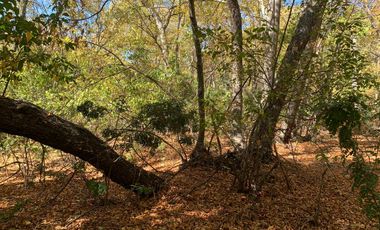 Se vende parcela a metros de la Reserva Altos de Lircay