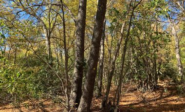 Se vende parcela a metros de la Reserva Altos de Lircay